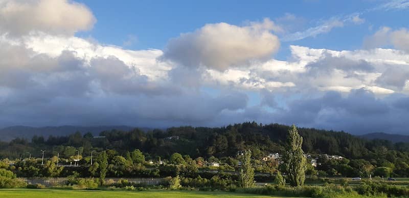 Ngati Tama Park - Image 2