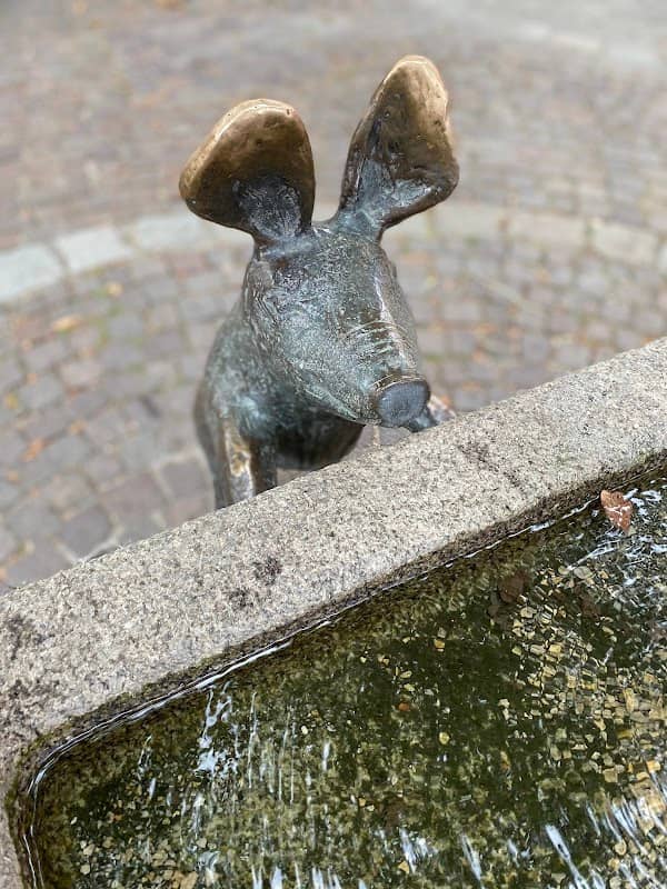 Amberger Schweinchenbrunnen - Image 1