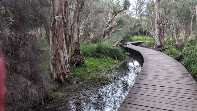 Beenyup Swamp Boardwalk - Image 1