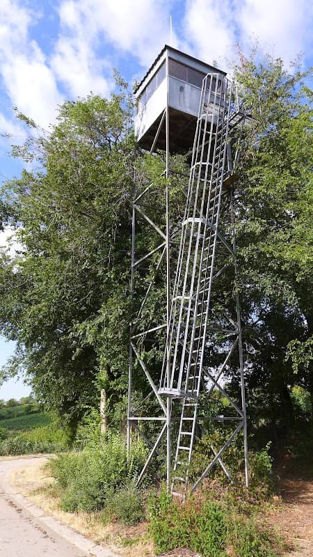 Weinbergshäuschen und Turm - Image 1