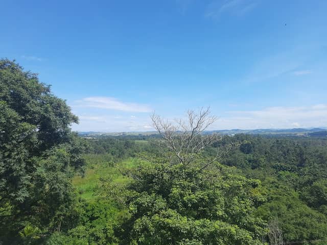 Mirante do banhado - Image 1
