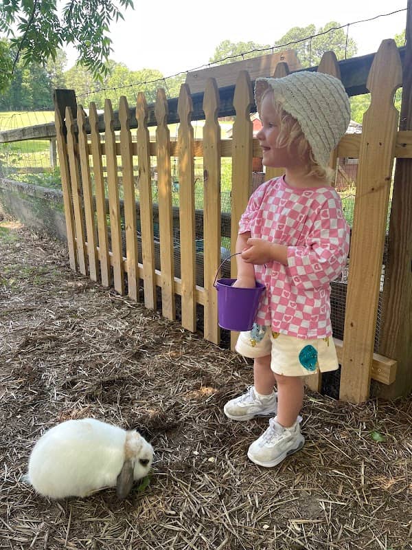 My Little Farmer Durham - Image 2