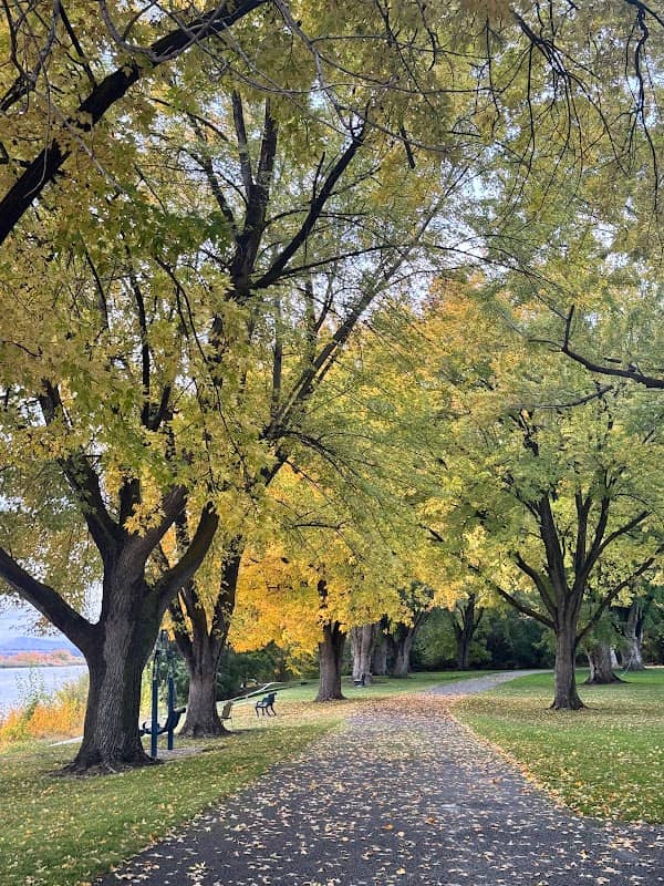 Chiawana West End Park - Image 1