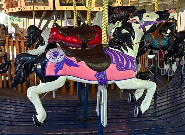 Idaho Centennial Carousel - Image 2