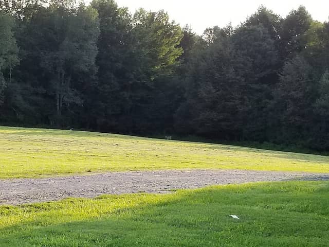 Norton Park - Image 3