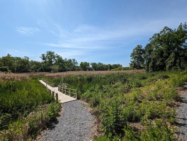 Ridgefield Park Nature Preserve - Image 1