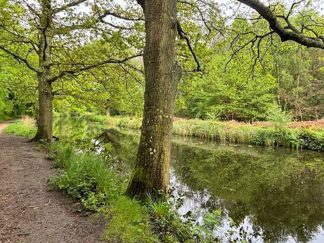 Brookwood Country Park - Image 1
