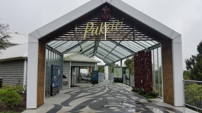 Pukeiti - Image 2