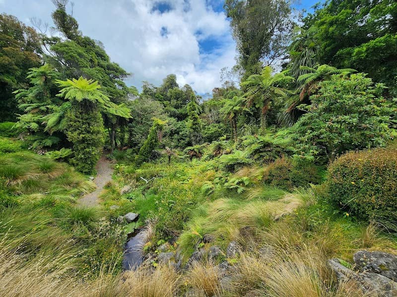 Pukeiti - Image 3