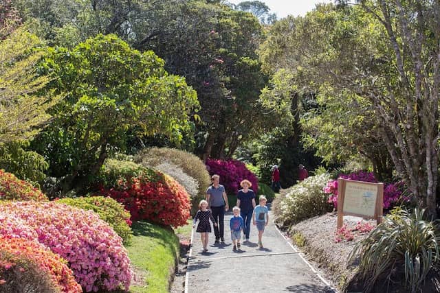 Pukeiti - Image 1