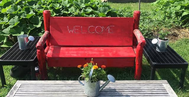 Albion Area Community Garden - Image 1