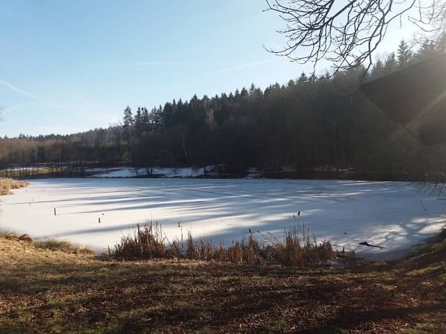 Rybník Jírovec - Image 1
