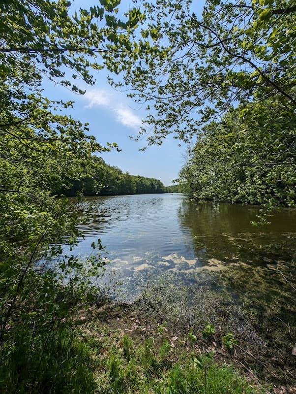 Wawanosh Park Conservation Area - Image 2