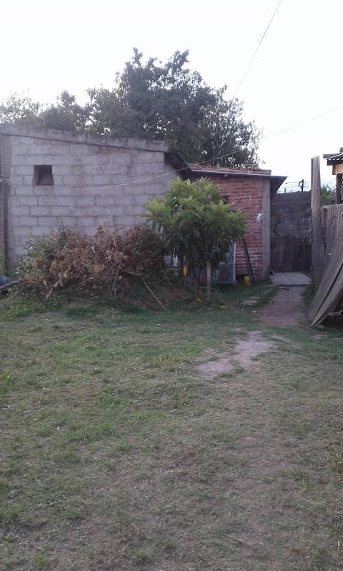 Recolección - Image 1
