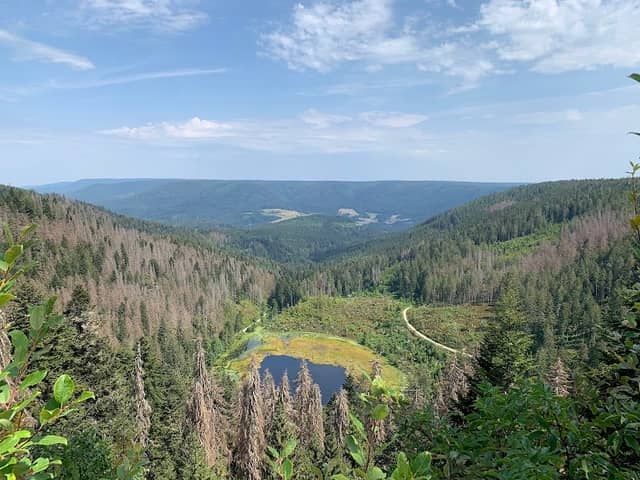 Huzenbacher Seeblick - Image 1