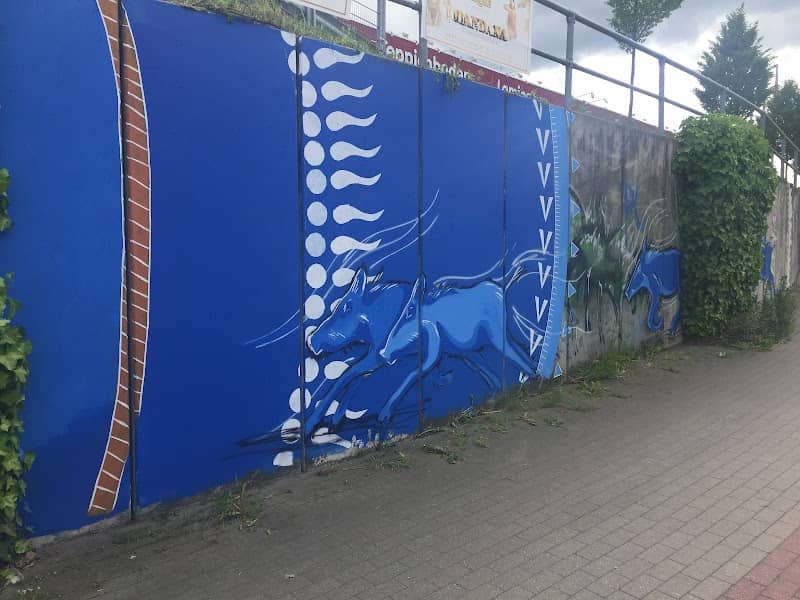 Juliene Sinclair wild boar mural - Image 2