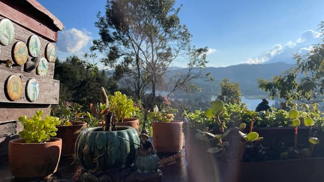 AyqueAbeja - Image 1
