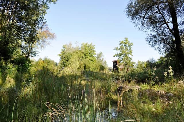 Naturlehrgebiet Buchwald - Image 1