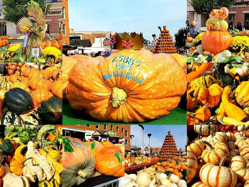 Pumpkin Show Park - Image 2