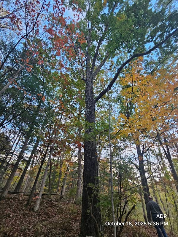 Wachoosik Park - Image 1