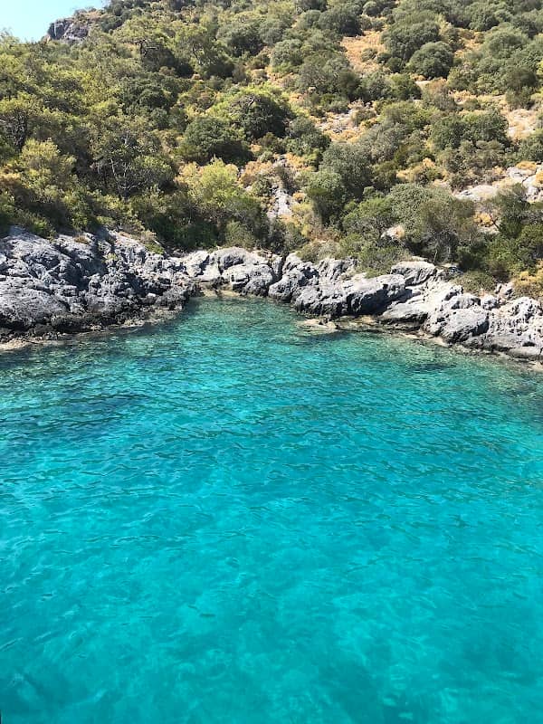 Aquarium Bay - Image 1