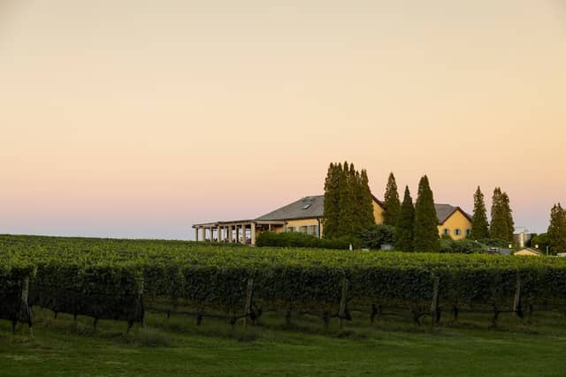 Wölffer Estate Vineyard - Image 1