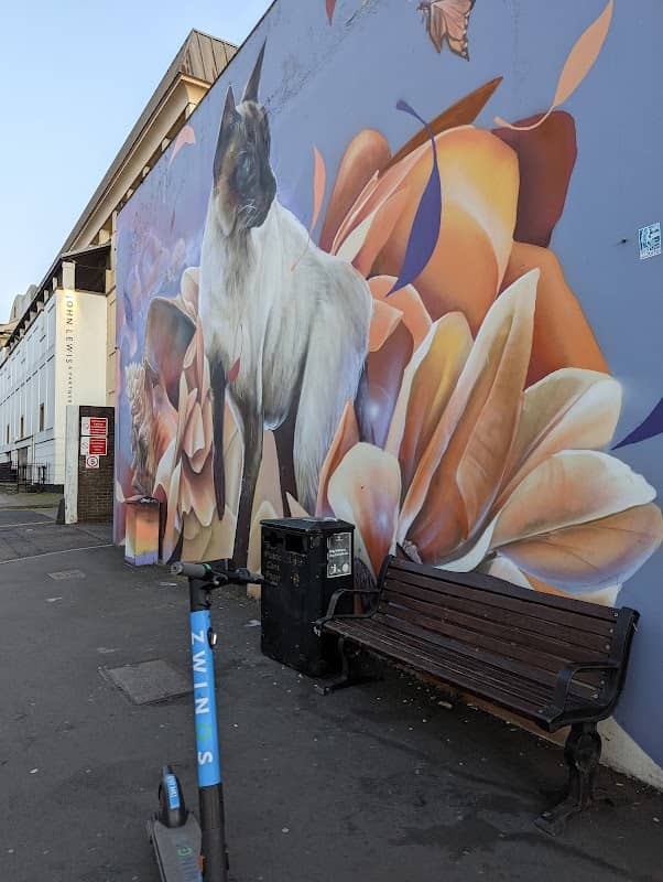 Cat Mural - Image 1