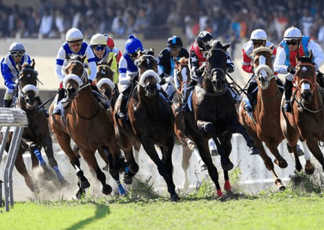 Racing Day at Royal Lodge - Port-Louis - Image 1