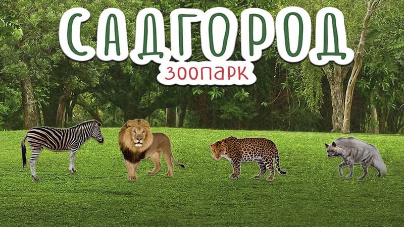 Sadgorod - Image 1