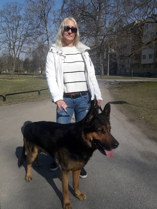 Dog park Stortorget - Image 1