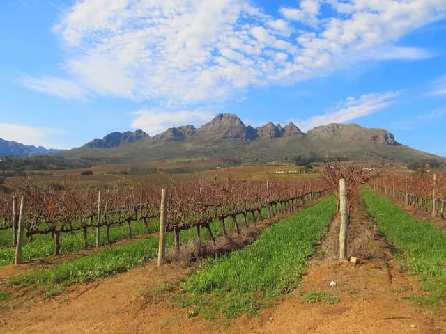 Vinehopper Wine Tours - Image 1