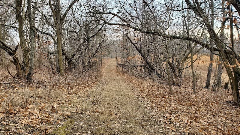 Manitou Island Wetlands - Image 2