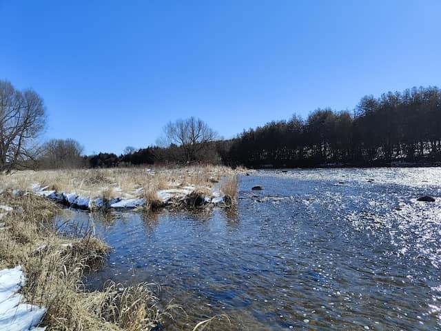 Pierpoint Fly Fishing and Nature Reserve - Image 2