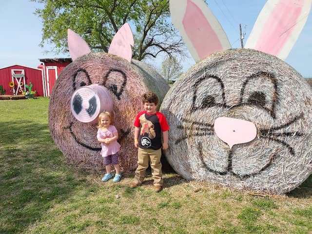Country Critters Farm, LLC - Image 1