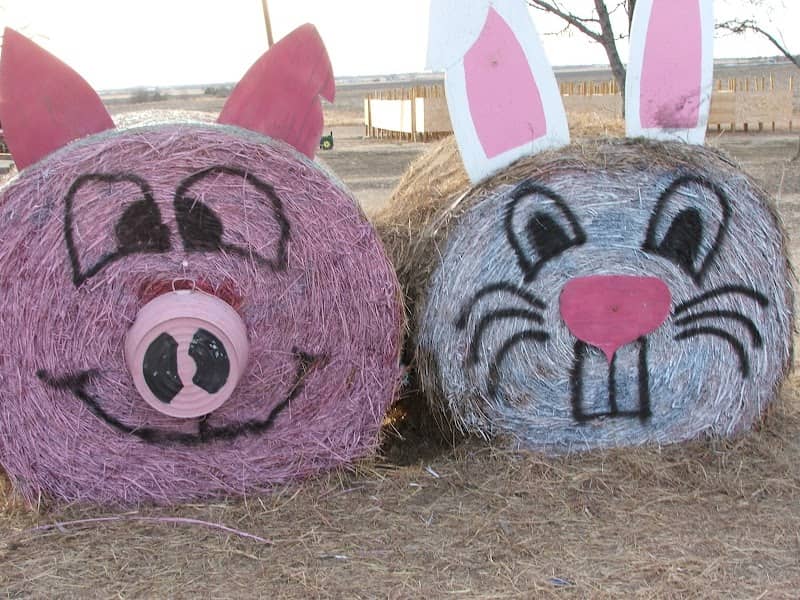 Country Critters Farm, LLC - Image 2