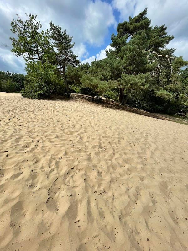Zandbergen - Image 1