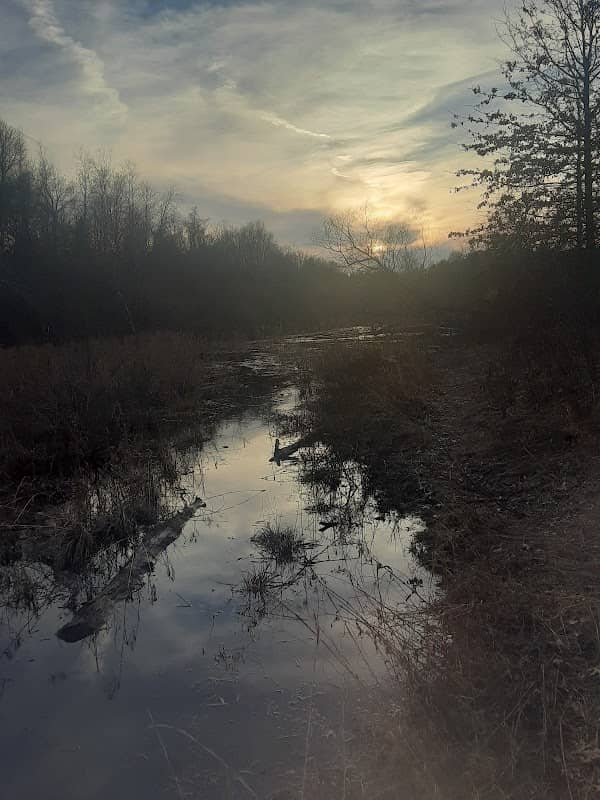 The Nature Conservancy Lake Mineola Marsh Preserve - Image 1
