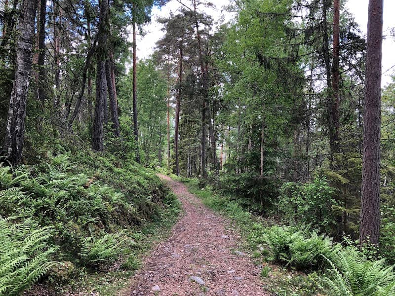 Granåsens naturreservat - Image 1
