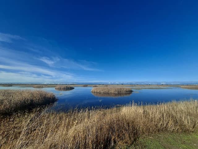 Yolo Bypass Auto Loop - autoloop - Image 1