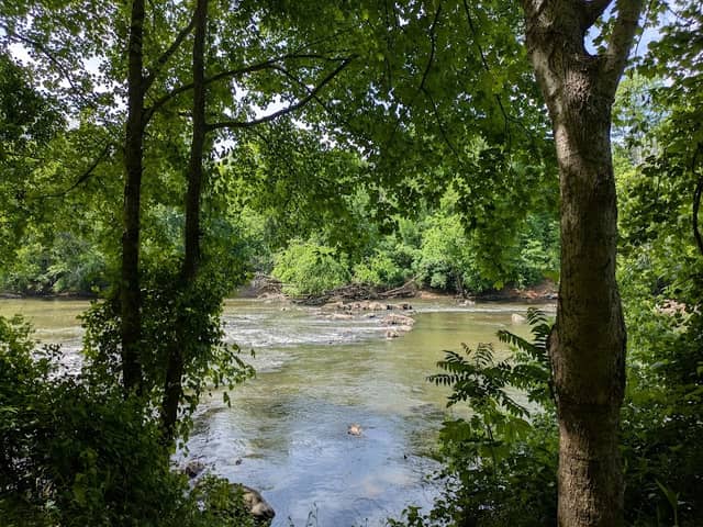Haw River Trail - Image 2