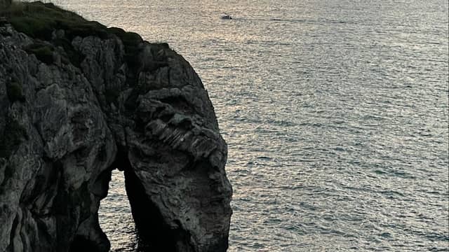 Su İçen Fil - Image 1