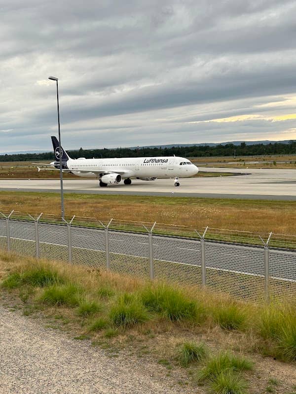 Observation deck on the north-west runway - Image 1