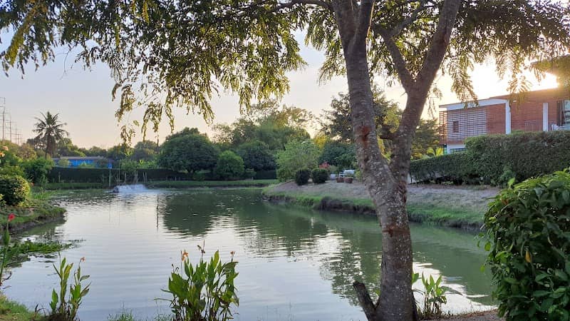 Suwan Temi Park - Image 1