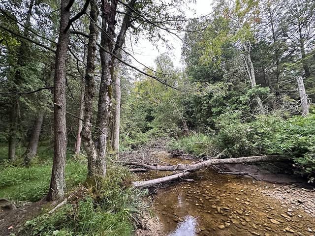 Door County Land Trust - Heins Creek - Image 2