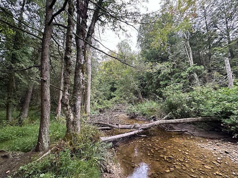 Door County Land Trust - Heins Creek - Image 1