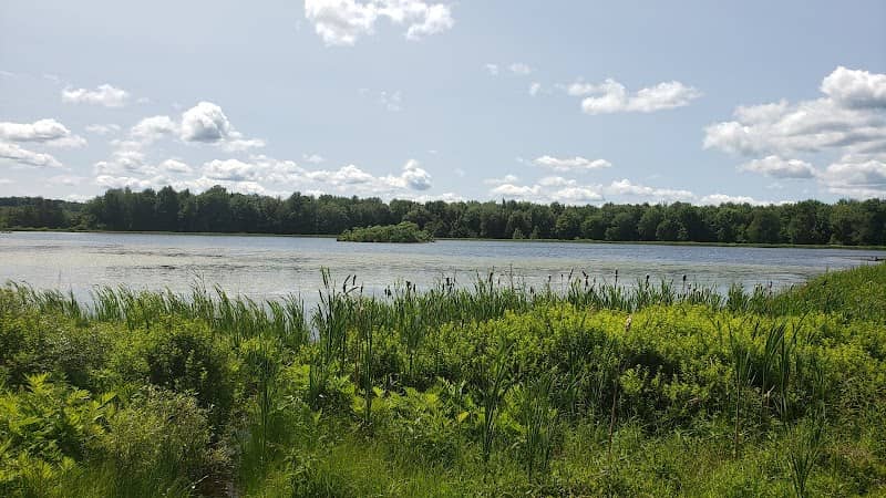 Chenango County Cook Park - Image 1