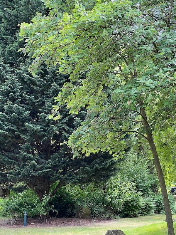 Rudolf Harbig Park - Image 2
