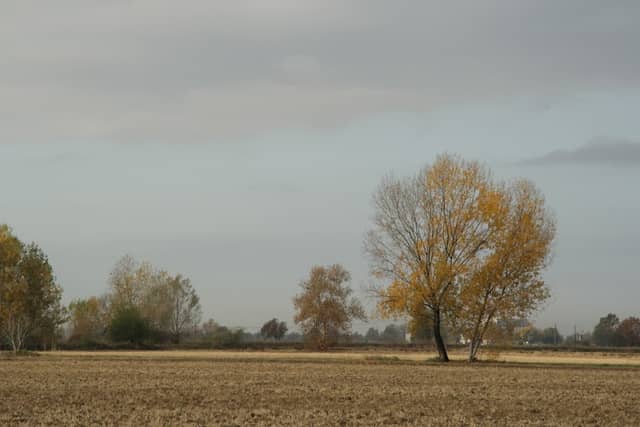 Riserva Regionale Garzaia di Porta Chiossa - Image 1
