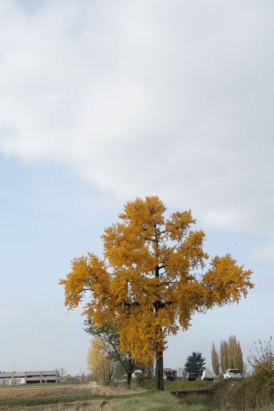 Riserva Regionale Garzaia di Porta Chiossa - Image 3