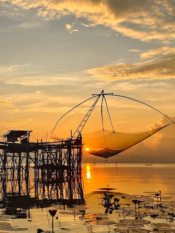 เส้นทางศึกษาธรรมชาติ สวนพฤกษศาสตร์พนางตุง - Image 1